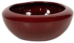  Campbell kerámia tál piros-fekete 49x19, 5cm (JW525/50-03)