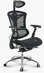 Sihoo M97C Ergonomikus Mesh Irodai szék