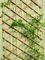 Nature Fa ollós rács 100 x 200 cm (Nature)