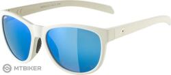 Alpina Ochelari ALPINA Nacan II P, gri fum