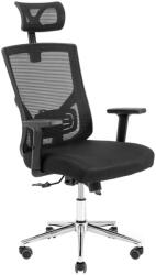 RONDI Roger ergonomikus irodai szék, RONDI, hálós háttámlával, állítható deréktámasszal, Anyfix mechanizmussal, fekete