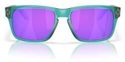 Oakley Ochelari copii Oakley Holbrook, grey smoke