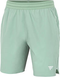 Tecnifibre Team Stretch Short Sage Férfirövidnadrág L