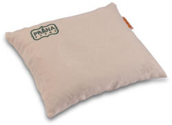 SALUS Tönkölyhéj 25 x 30 cm alvópárna prémium - plazapatika
