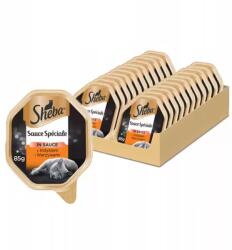 Sheba Sheba, Set conserve pentru pisici, Curcan si legume, 22 X 85g