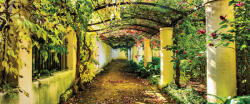 Consalnet Kertben poszter, fotótapéta (250 x 104 cm) (C1-2296VEP)