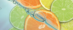 Consalnet Citrus poszter, fotótapéta (250 x 104 cm) (C1-110VEP)