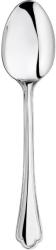 Inoxriv Lingura servire RANIERI-23 cm (51600120) Tacam