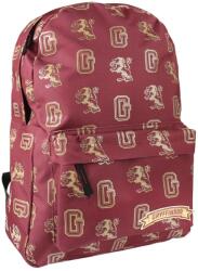 Cerda Rucsac Cerda Harry Potter cu buzunar frontal, 30x44x12 cm
