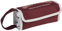 Cerda Penar Harry Potter Gryffindor cu 4 compartimente, 8x8x22 cm - bondarel Penar