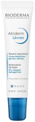 BIODERMA - Balsam de buze hidratant Atoderm Bioderma, 15 ml