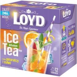 LOYD piramis tea hidegen főzött narancs-zsálya ízű 30g