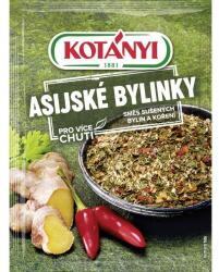 KOTÁNYI Ázsiai fűszernövények 15g