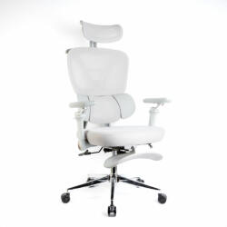 Delight Ergonomikus Irodai Forgószék - Szürke, Állítható Karfával és Lábtartóval (BMD1122)