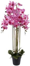 Art Galéria Orchidea 7 ágú pink