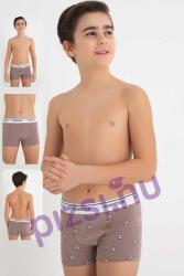 Wooster Fiú boxeralsó (WST0245 5-6 éves)