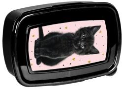 PASO Cutie de prânz pentru fete, model Princess Black Cat Paso, 500ml