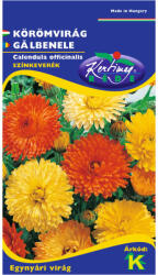 Rédei Kertimag Zrt Körömvirág (Calendula officinalis) színkeverék (1 g)