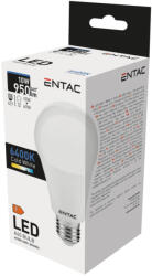 Entac LED Globe E27 10W CW 6400K - shopbazis