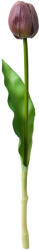 Clayre & Eef Set 3 Lalele artificiale violet verde 4x4x32 cm (6PL0312deco)