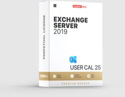 Microsoft Exchange Server 2019 - User Cal 25 (381-04393-25)