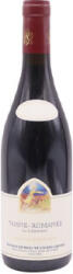 Domaine Georges Mugneret-Gibourg Vosne-Romanée La Colombriére 2022 (száraz) 0.75l
