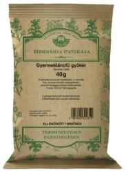  Gyermekláncfű Gyökér Tea 1x 40g Herb - doktorpatika