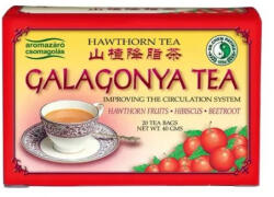 Dr. Chen Patika Hawthorn Galagonya Tea 20x 2g - doktorpatika