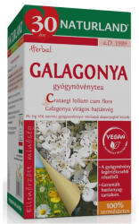  Galagonya Gyógynövény Tea 20x Nland - doktorpatika