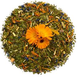 Poľanatea Yerba mate maximális energia -200g