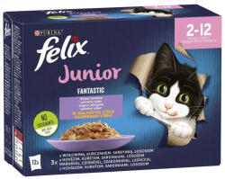 FELIX Fantastic Junior tasakok kiscicáknak finom válogatás zselében 72x85g