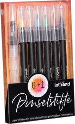 Intrend Set carioci profesionale, Intrend, pentru pictura, caligrafie, cerneala pe baza de apa, 6 carioci cu varf flexibil, 1 pensula cu rezervor pentru apa, Multicolor (4260654230680)