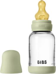 BIBS - Set complet biberon din sticla anticolici cu tetina din latex, flux lent, 120 ml, Sage (5019250)