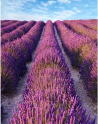Media Lavender2 öntapadós és mosható fali tapéta, 150 x 205 cm (FOTOTAP5493)