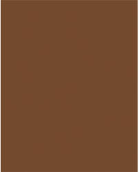  Dekorkarton, 2 oldalas, 50x70cm, 220 g, 10 lap, FOLIA, csokoládé barna (61221085) - nyomtassingyen