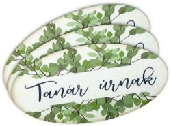  Nyomtatott dekorkarton - Tanár úrnak ovál tábla 1 db