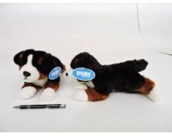Dubi Bernese Mountain Dog 27cm