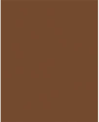  Dekorkarton, 2 oldalas, 50x70cm, 220 g, 10 lap, FOLIA, csokoládé barna (61221085) - mystock