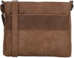 Dugros Pamplona 25521 Taupe Geanta voiaj