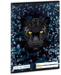 Ars Una 1232, III. oszt. A5 füzet Black Panther (5529) 26 (53605290)