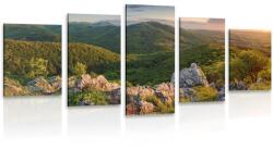Dovido Tablou 5-piese natura scăldată de soare - 150x75