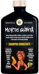 Lola Cosmetics Ingrijire Par Morte Súbita Hydrating Shampoo Sampon 250 ml