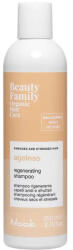 Nook Șampon Organic Pentru Regenerarea Părului Uscat Și Deteriorat Nook Beauty Family Ageless Regenerating Shampoo (NO1029091)
