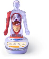 Science Can Descopera corpul uman - Enciclopedie Interactiva Steam Science Can, varsta 6 ani +, Multicolor (EDUC-1600222024ig0002)