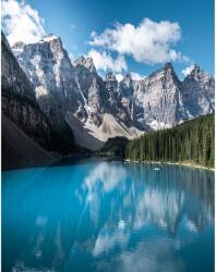 MÉDIA Öntapadó és mosható fali tapéta Natura50, 150 x 205 cm (FOTOTAP5523)