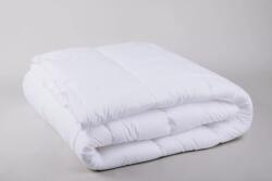 Naturtex Antibacterial Soft paplan 140x200 cm - 600g (75098)