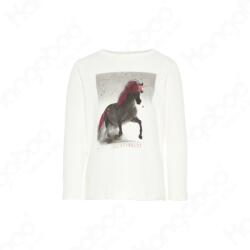 NAME IT Tricoul cu mâneci lungi pentru fete crud (11A50F)