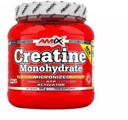 Amix Nutrition Creatine Monohydrate (300 Gr) Unflavored