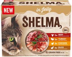 Shelma 12x85g Shelma Gf Nm zsebes macskakeverék húszselé