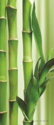 Consalnet Bamboo poszter, fotótapéta (91 x 211 cm) (C1-2-180VET)